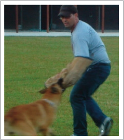 Dog Behavior Problems