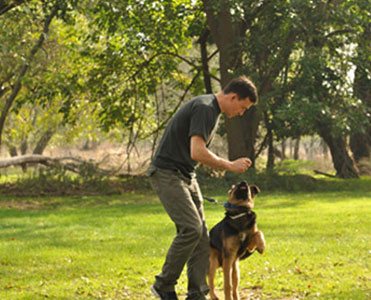 K9 Advisors Dog Training K9 Advisors - police dogs roblox