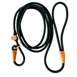 slip-lead-leash-for-dog-training