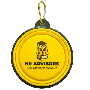 k9-advisors-yellow-dog-bowl-for-dog-training